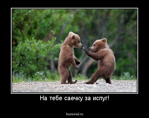 На тебе саечку за испуг!
