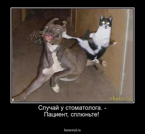 Случай у стоматолога.
- Пациент, сплюньте!
