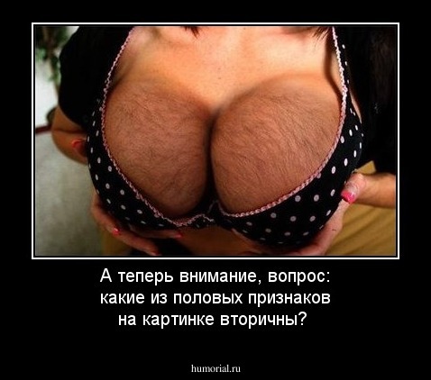 А теперь внимание, вопрос: какие из половых признаков на картинке вторичны?