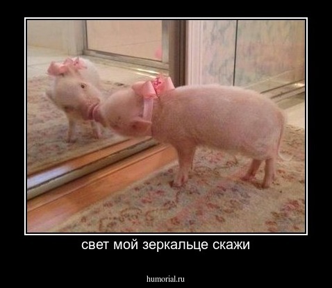 свет мой зеркальце скажи