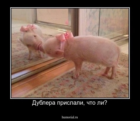 Дублера прислали, что ли?