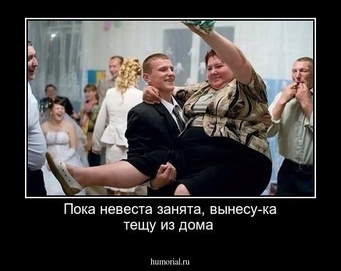 Пока невеста занята, вынесу-ка тещу из дома