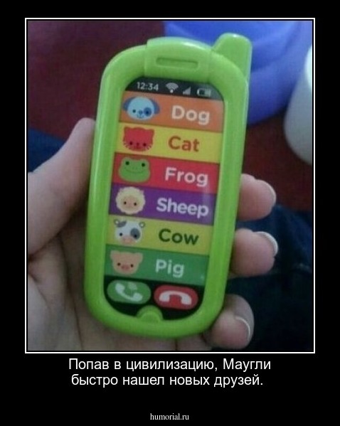 Попав в цивилизацию, Маугли быстро нашел новых друзей.