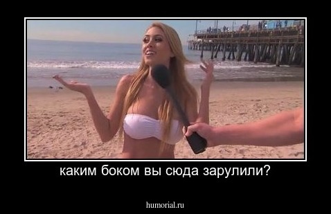 каким боком вы сюда зарулили?