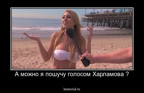 А можно я пошучу голосом Харламова ?