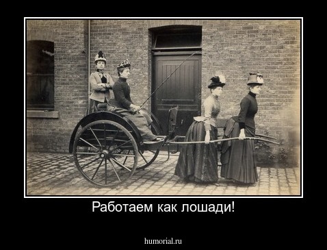 Работаем как лошади!
