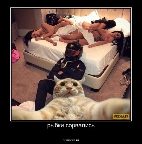 рыбки сорвались
