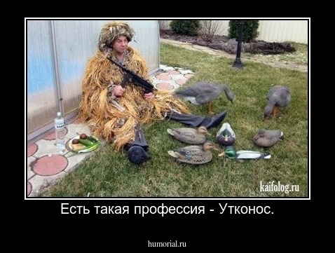 Есть такая профессия - Утконос.