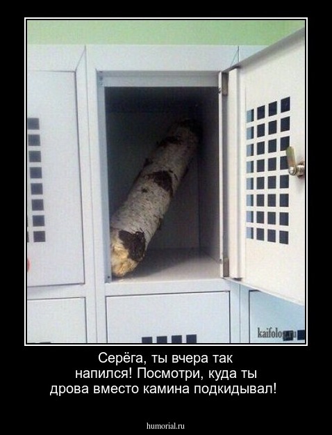Серёга, ты вчера так напился! Посмотри, куда ты дрова вместо камина подкидывал!