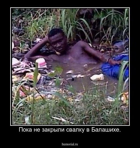 Пока не закрыли свалку в Балашихе.