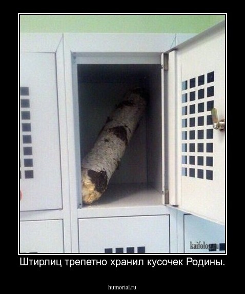 Штирлиц трепетно хранил кусочек Родины.