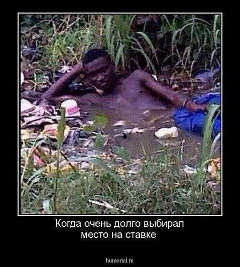Когда очень долго выбирал место на ставке