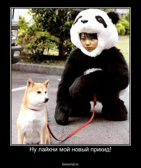 Ну лайкни мой новый прикид!