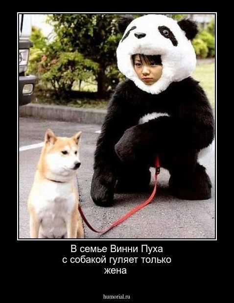 В семье Винни Пуха с собакой гуляет только жена