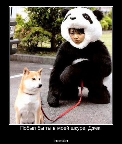Побыл бы ты в моей шкуре, Джек.