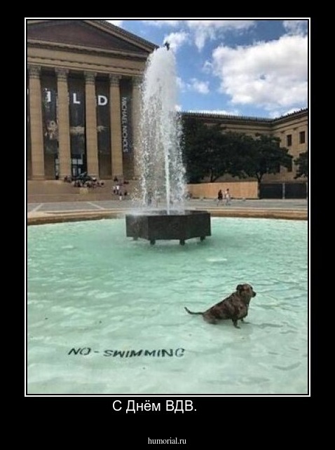 С Днём ВДВ.      