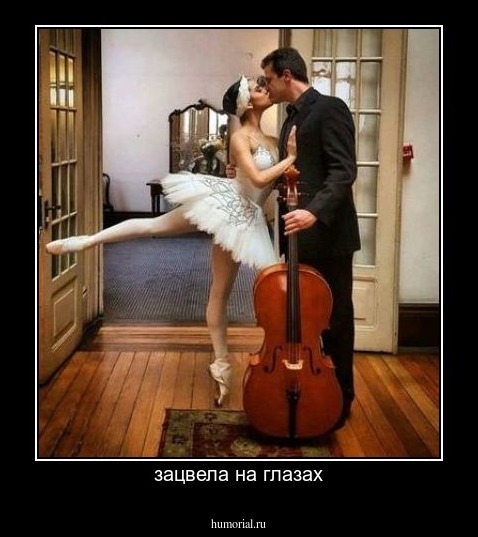 зацвела на глазах