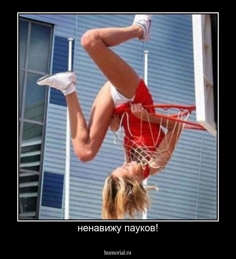 ненавижу пауков!