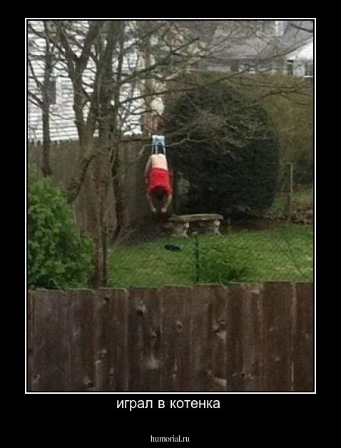 играл в котенка 
