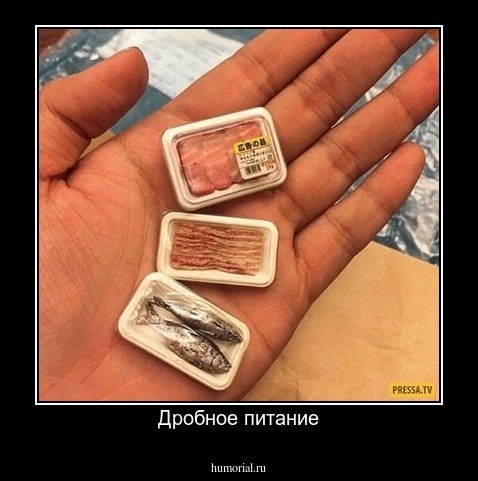 Дробное питание
