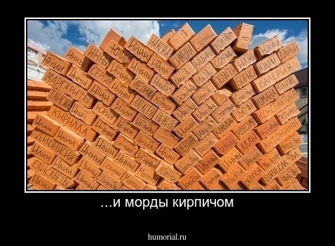 ...и морды кирпичом