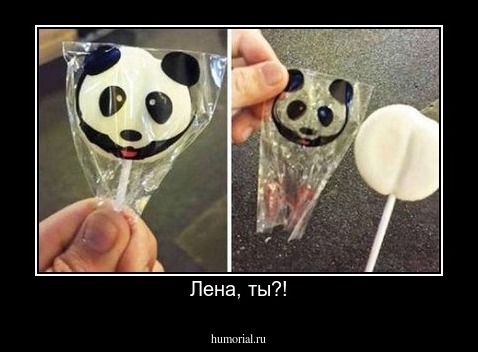 Лена, ты?!