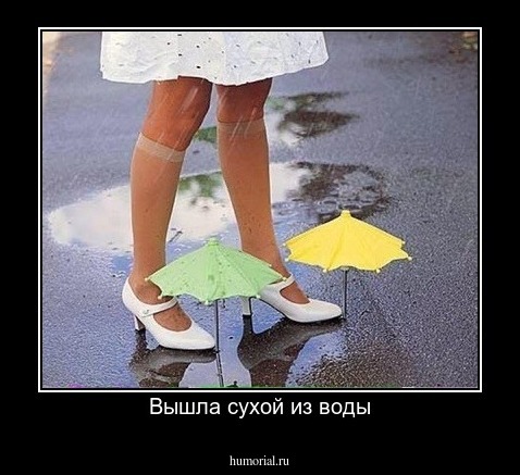 Вышла сухой из воды