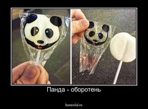 Панда - оборотень