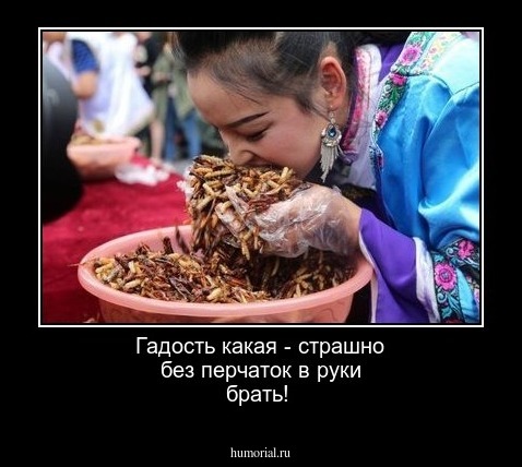 Гадость какая - страшно без перчаток в руки брать!
