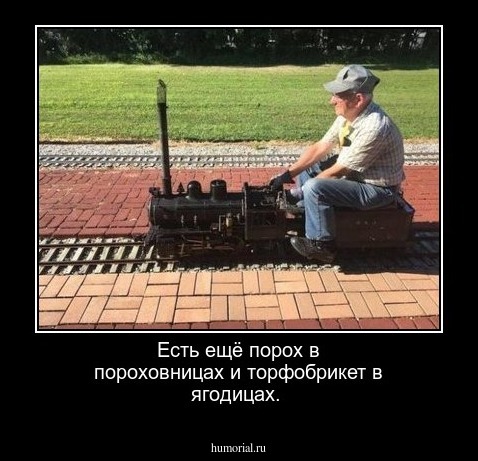 Есть ещё порох в пороховницах и торфобрикет в ягодицах.