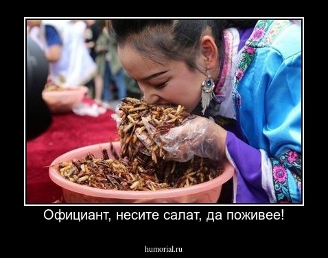Официант, несите салат, да поживее!