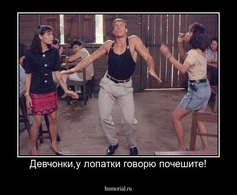 Девчонки,у лопатки говорю почешите!