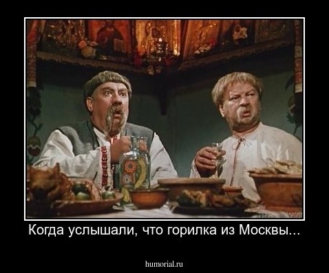Когда услышали, что горилка из Москвы...