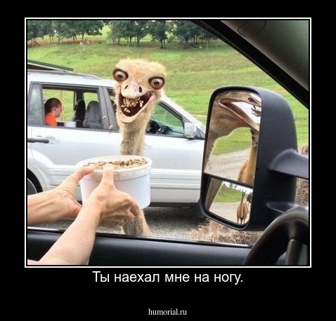 Ты наехал мне на ногу.