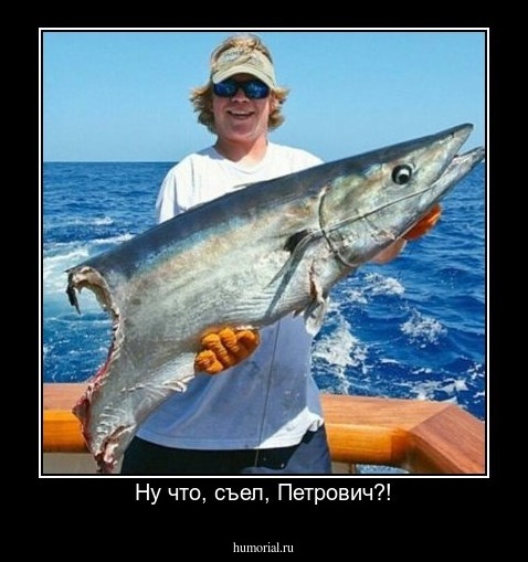 Ну что, съел, Петрович?!