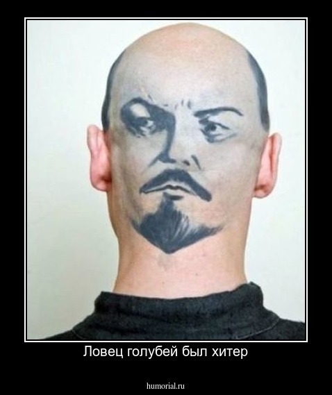 Ловец голубей был хитер