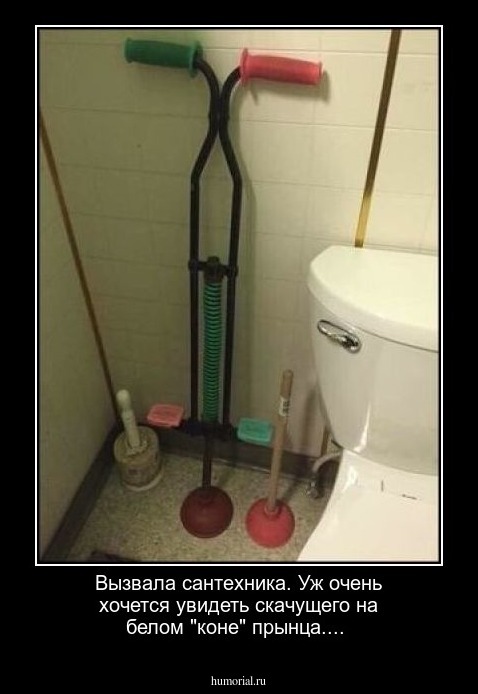 Вызвала сантехника. Уж очень хочется увидеть скачущего на белом "коне" прынца....