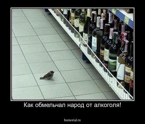 Как обмельчал народ от алкоголя!