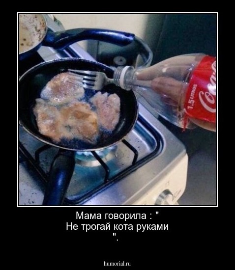  Мама говорила : " Не трогай кота руками ".