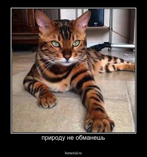 природу не обманешь