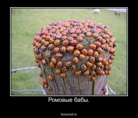 Ромовые бабы.