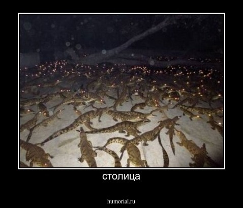 столица