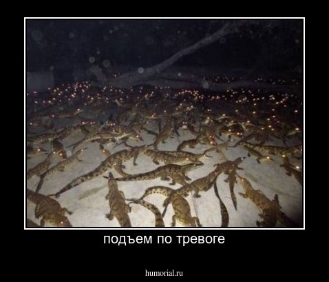 подъем по тревоге