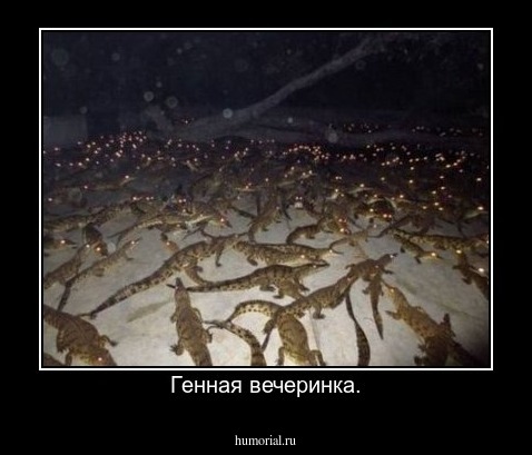 Генная вечеринка.