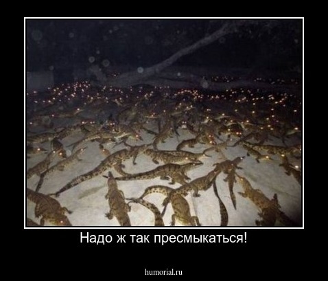 Надо ж так пресмыкаться!