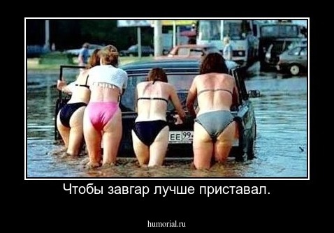 Чтобы завгар лучше приставал.