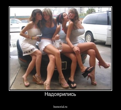 Надоярились