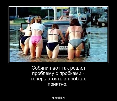 Собянин вот так решил проблему с пробками - теперь стоять в пробках приятно.