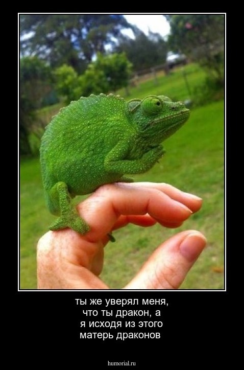 ты же уверял меня, что ты дракон, а я исходя из этого матерь драконов 