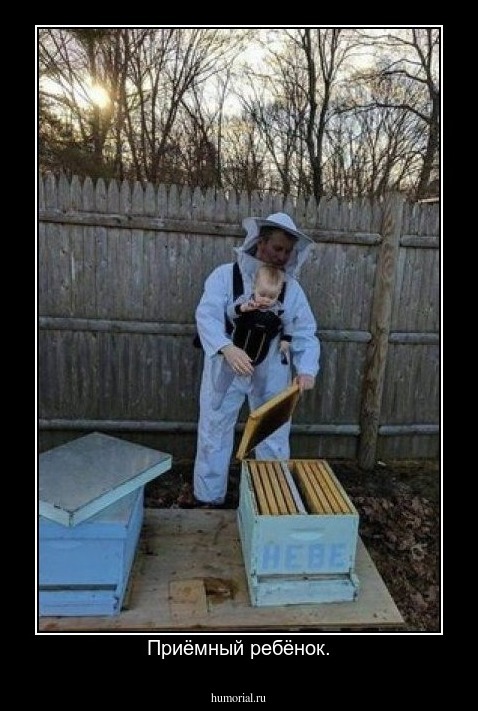 Приёмный ребёнок.